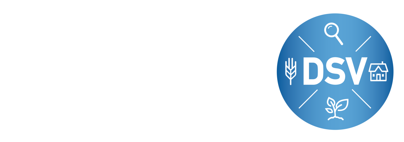 Dsv-Logo-Neu-01